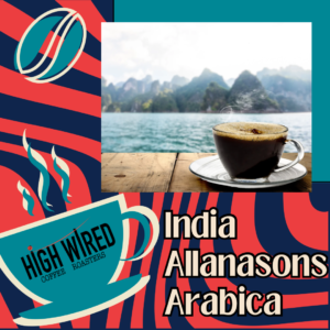 INDIA ALLANASONS ARABICA
